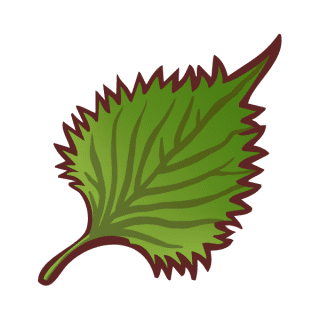 Uwajimaya | Uwajipedia - Shiso