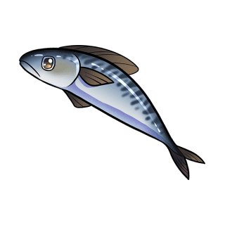 Uwajimaya | Uwajipedia - Mackerel