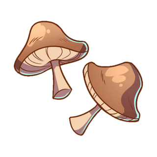 Shiitake Illustration | Uwajimaya